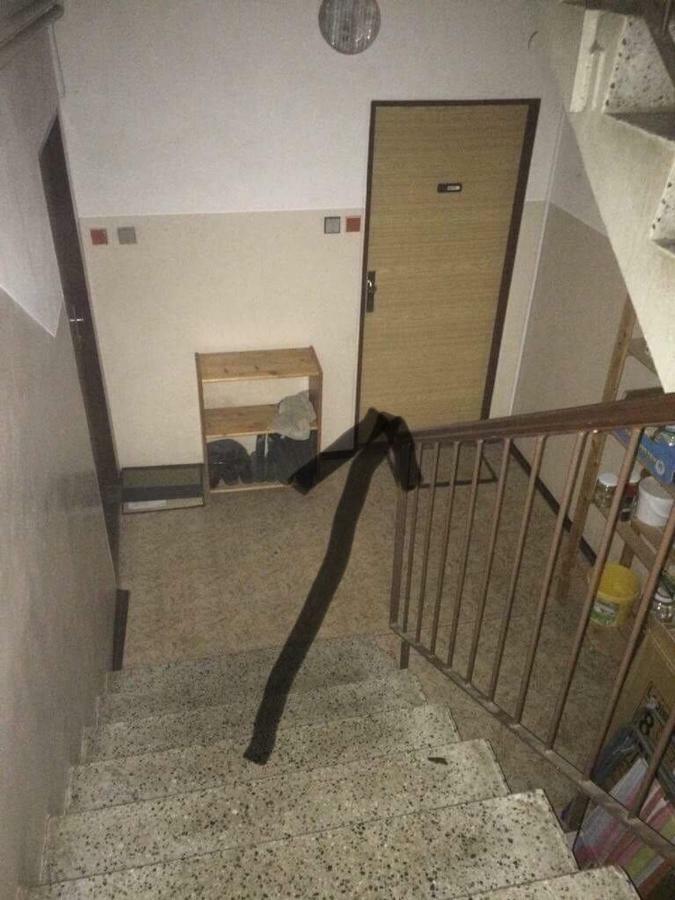 Apartman Na Horach Zlata Olesnice  Exteriör bild